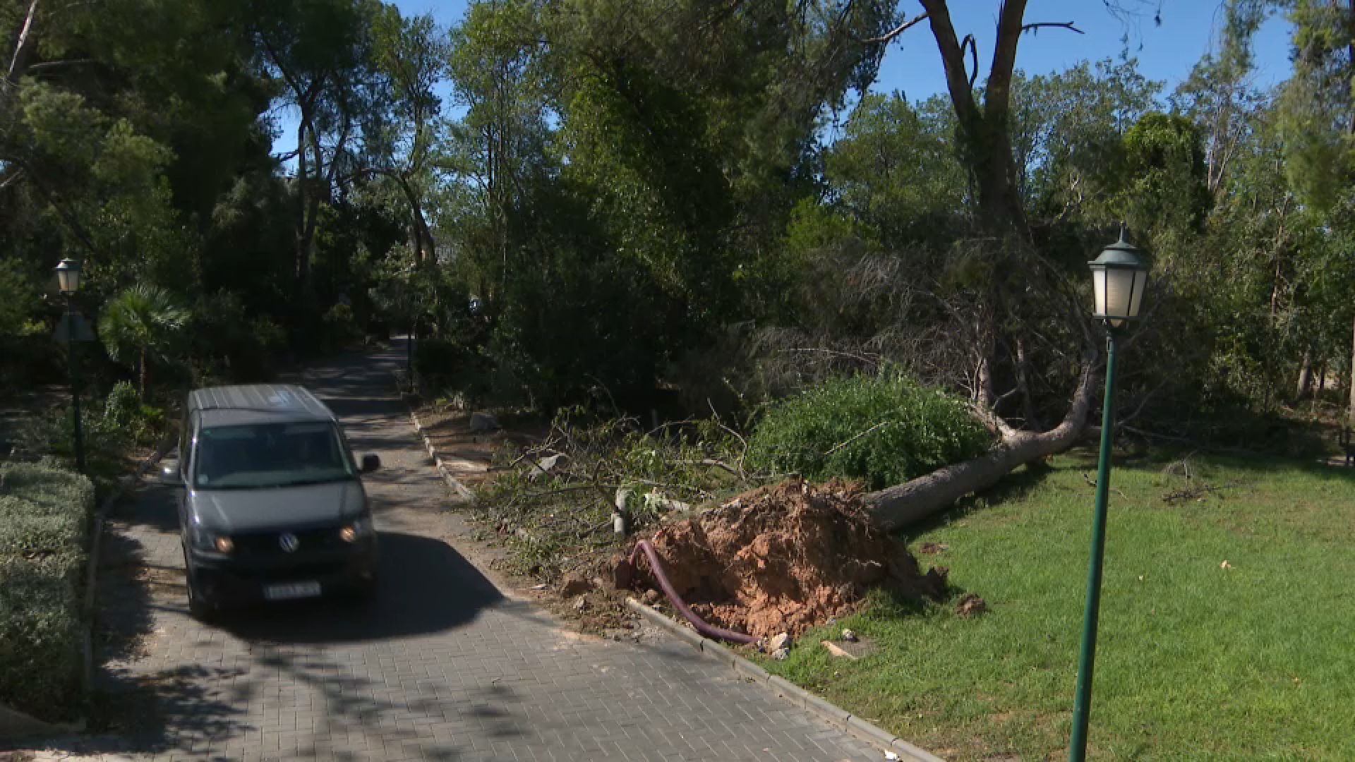 Una tempesta acompanyada per un tornado va fer caure 60 arbres Una tempesta acompanyada per un tornado va provocar que caigueren 60 arbres