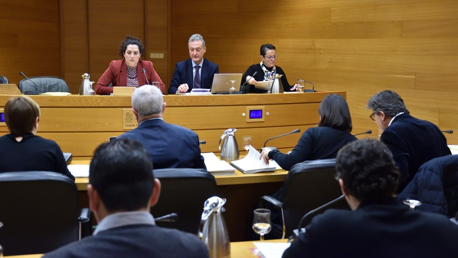 Comissió de Ciegsa a les Corts, en una imatge d'arxiu
