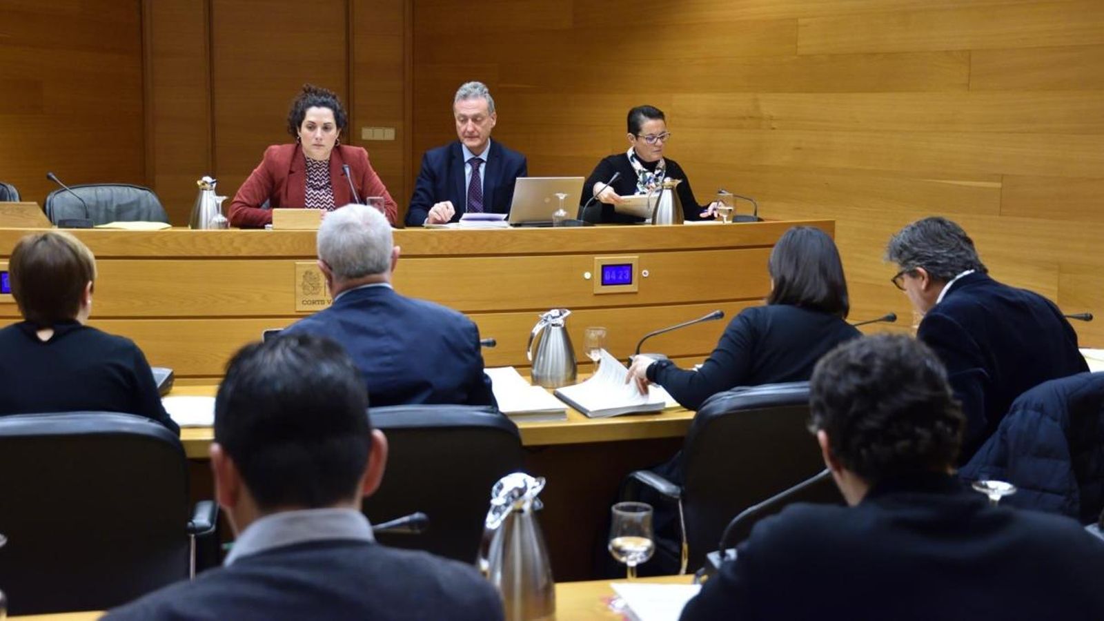 Comissió de Ciegsa a les Corts, en una imatge d'arxiu