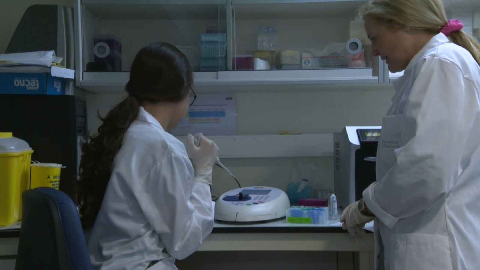 Corella durant la investigació.