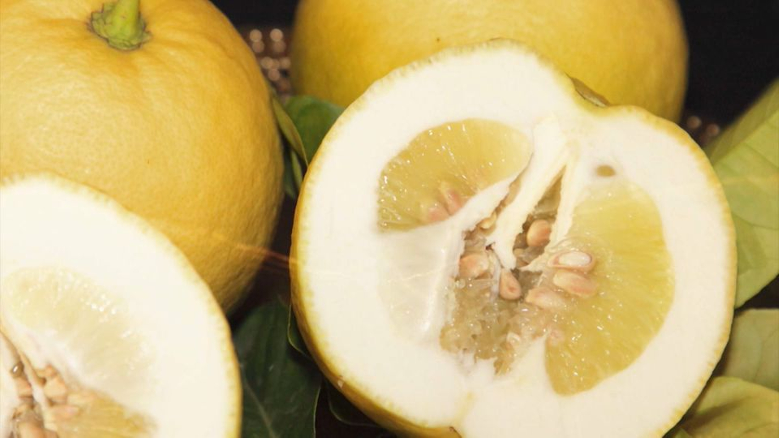 Imatge d'arxiu del fruit del citronat