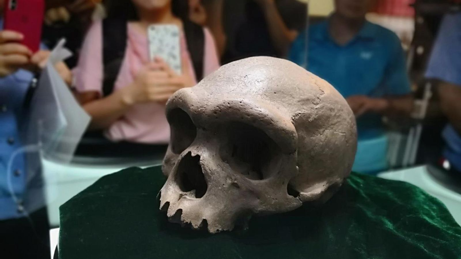 El crani catalogat com el d'un humà de fa 146.000 anys