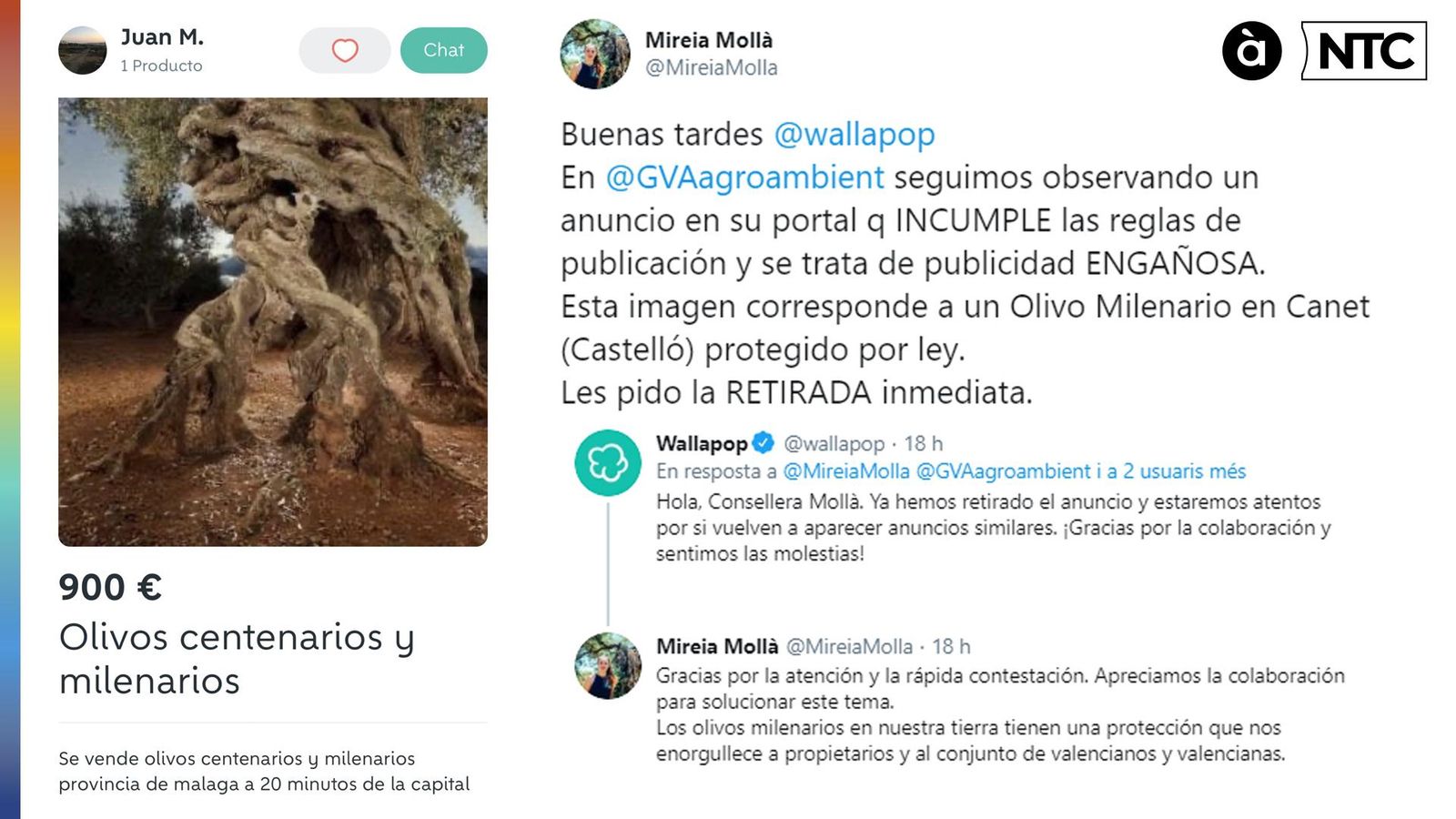 Retiren de la venda una olivera mil·lenària per "publicitat enganyosa"