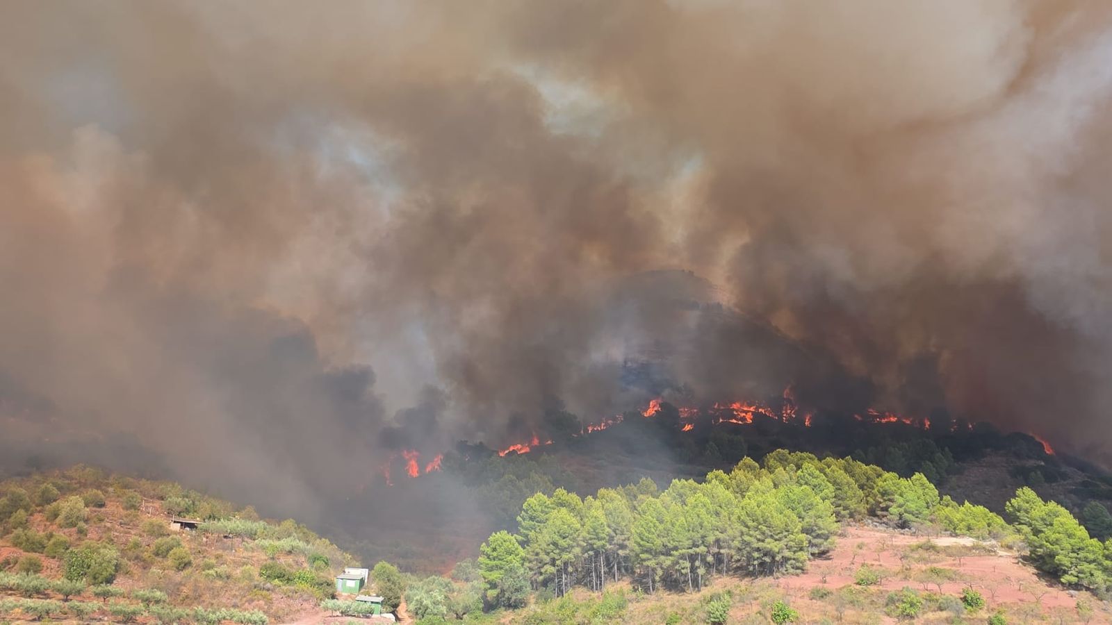 L'incendi avança descontrolat per la serra Calderona