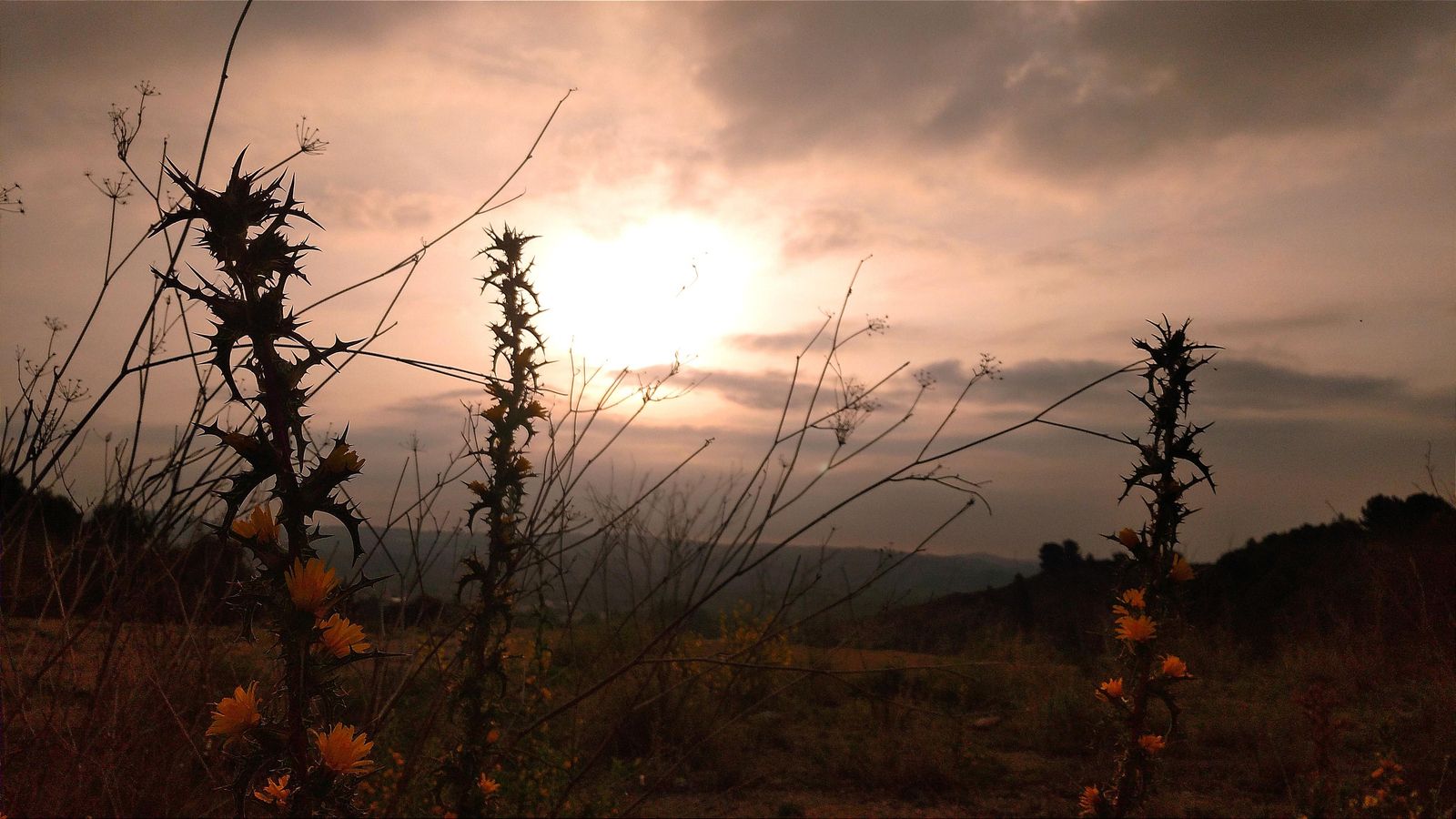 MACASTRE, LA FOIA DE BUNYOL