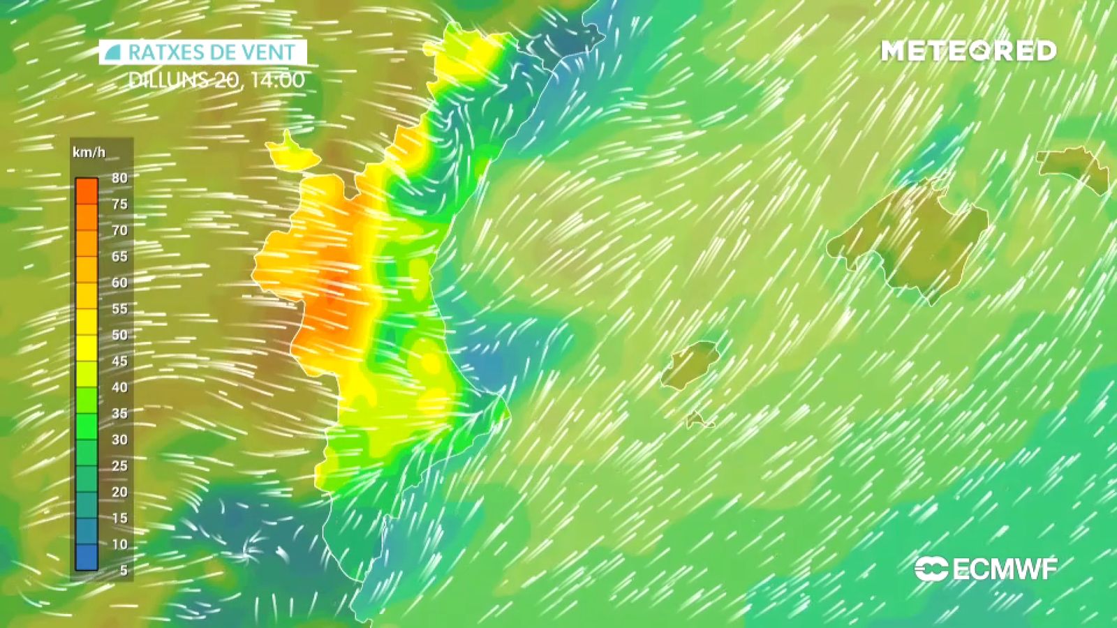 El vent de ponent, protagonista