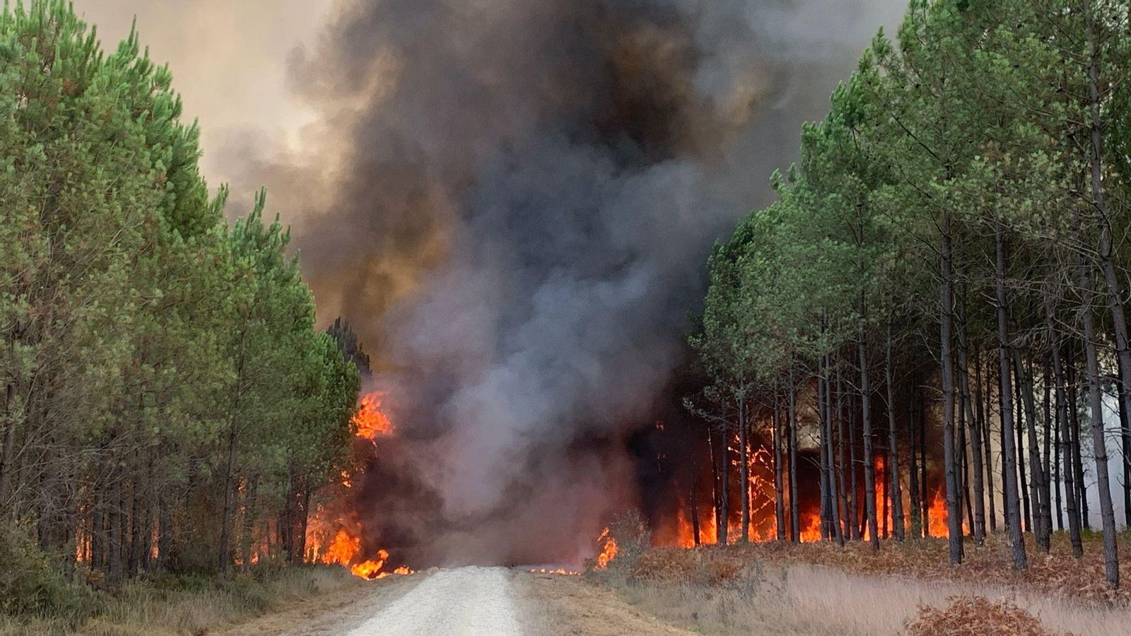 Incendi al sud de França