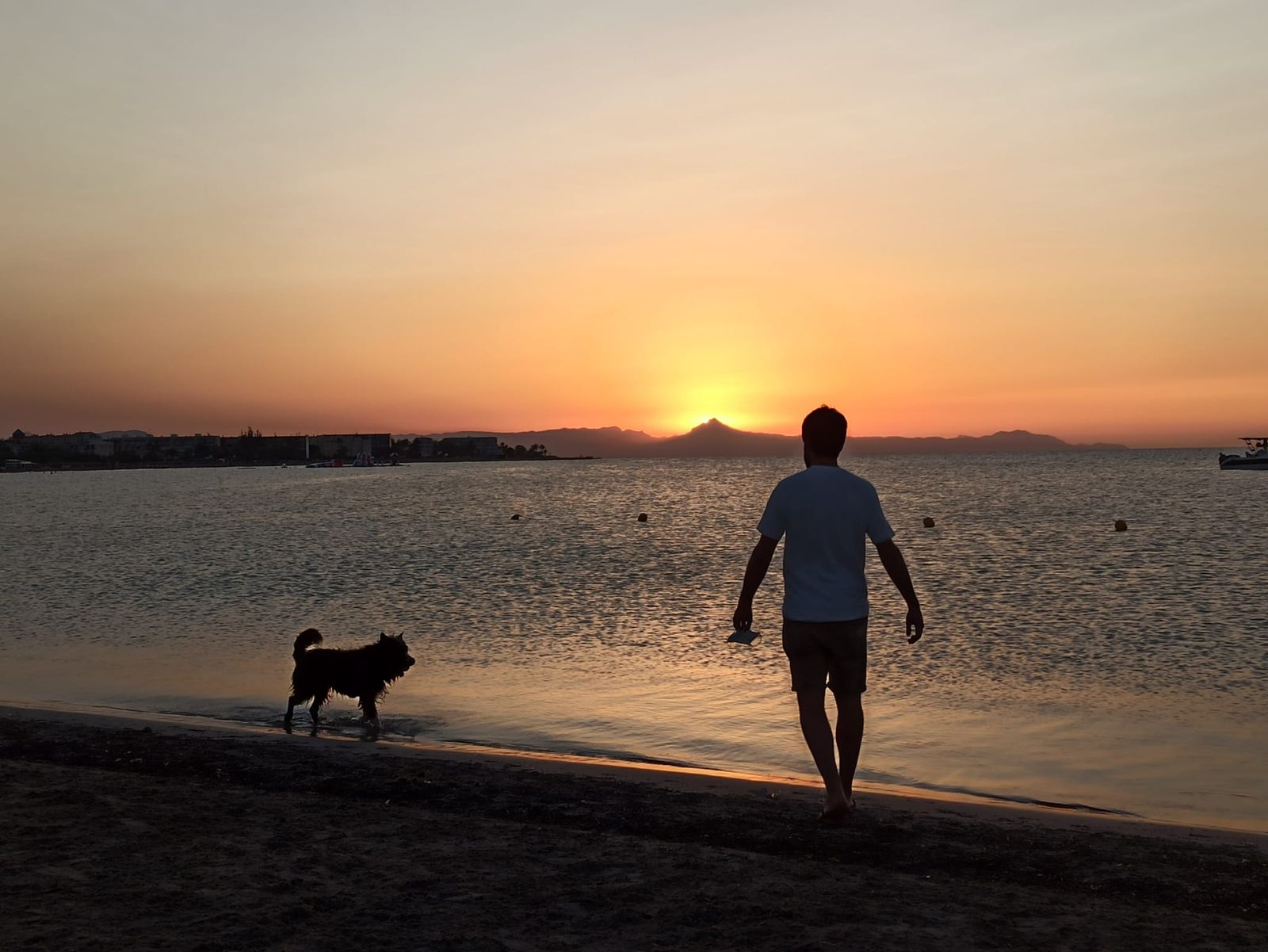 Platja de l’Escullera Nord, a Dénia