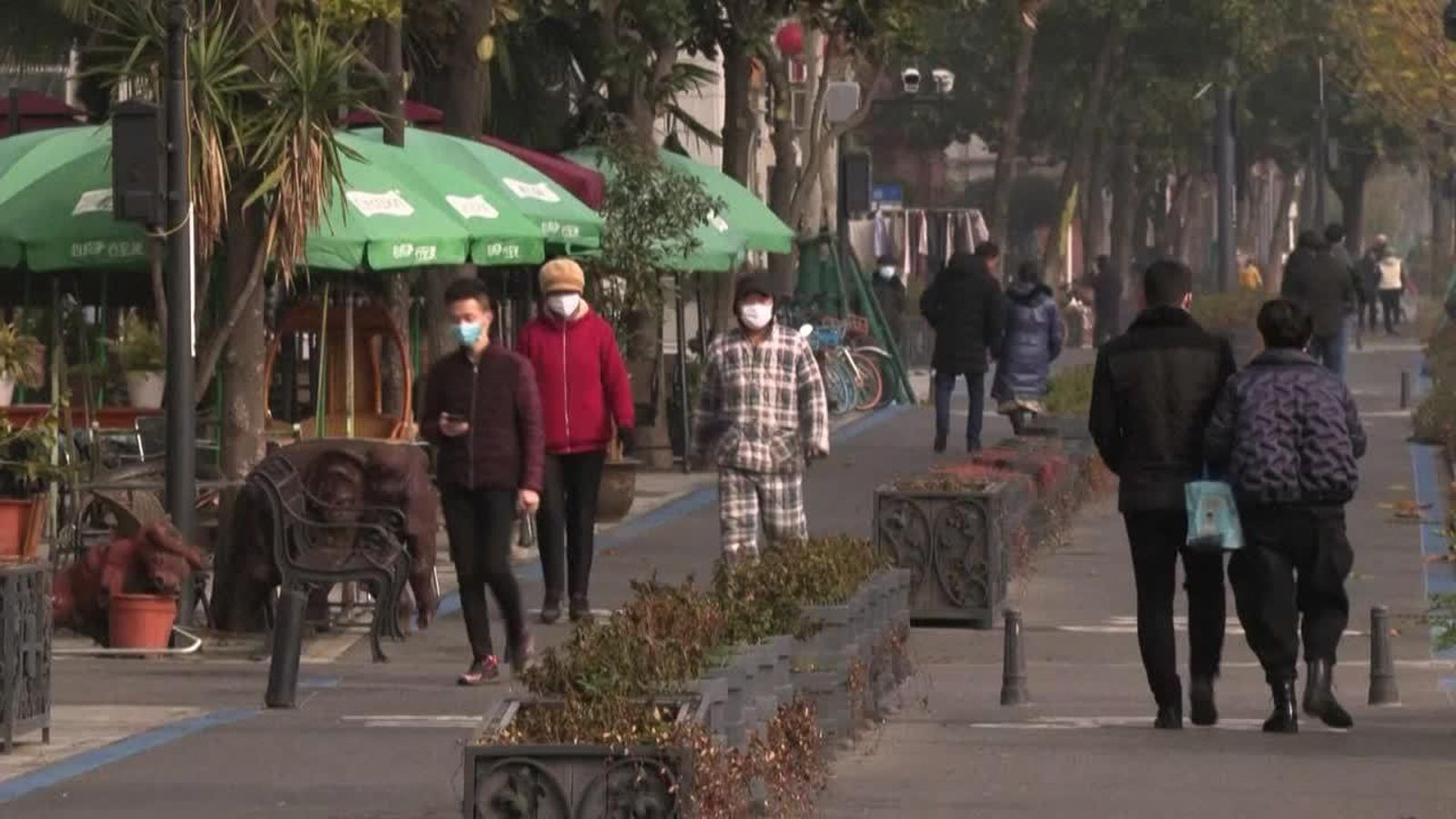 28.02.2020 | El virus de la por