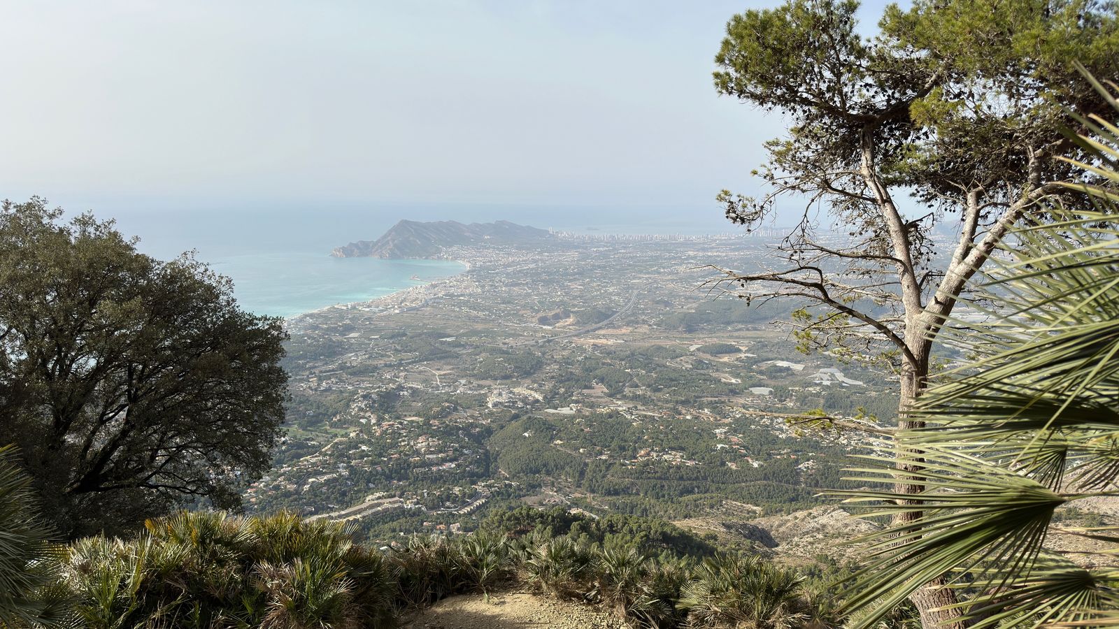 5.FORAT DE BERNIA, FERNANDO DE SIMÓN