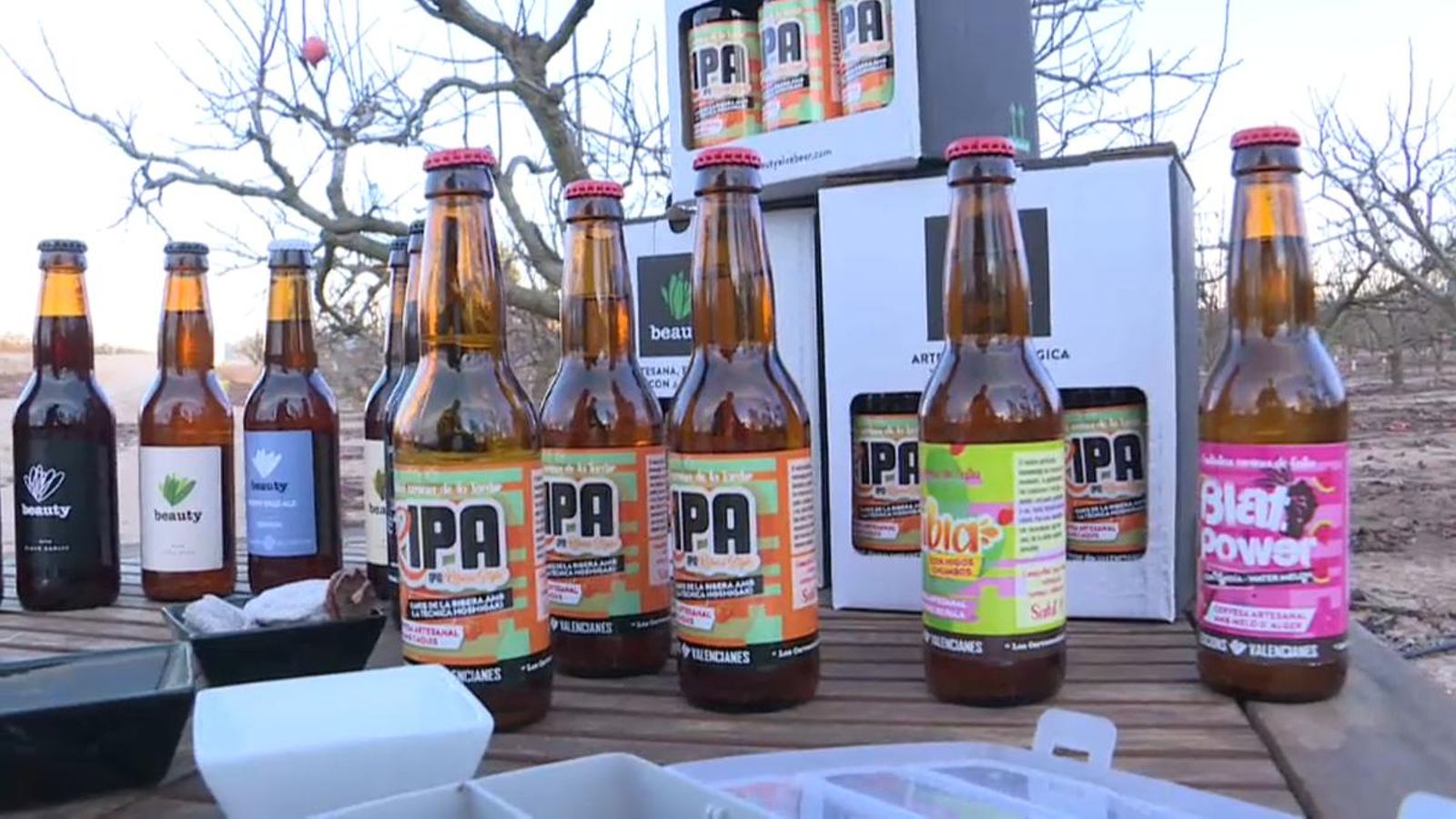 VÍDEO | Una cervesa amb caqui per a homenatjar la Ribera del Xúquer