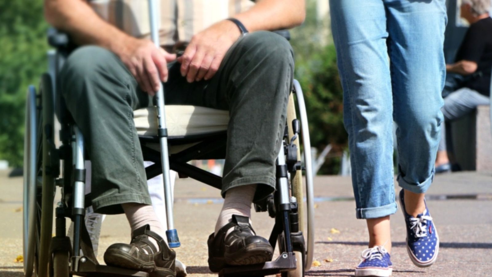 Durant el passat mes de juliol es van tramitar 1.667 expedients