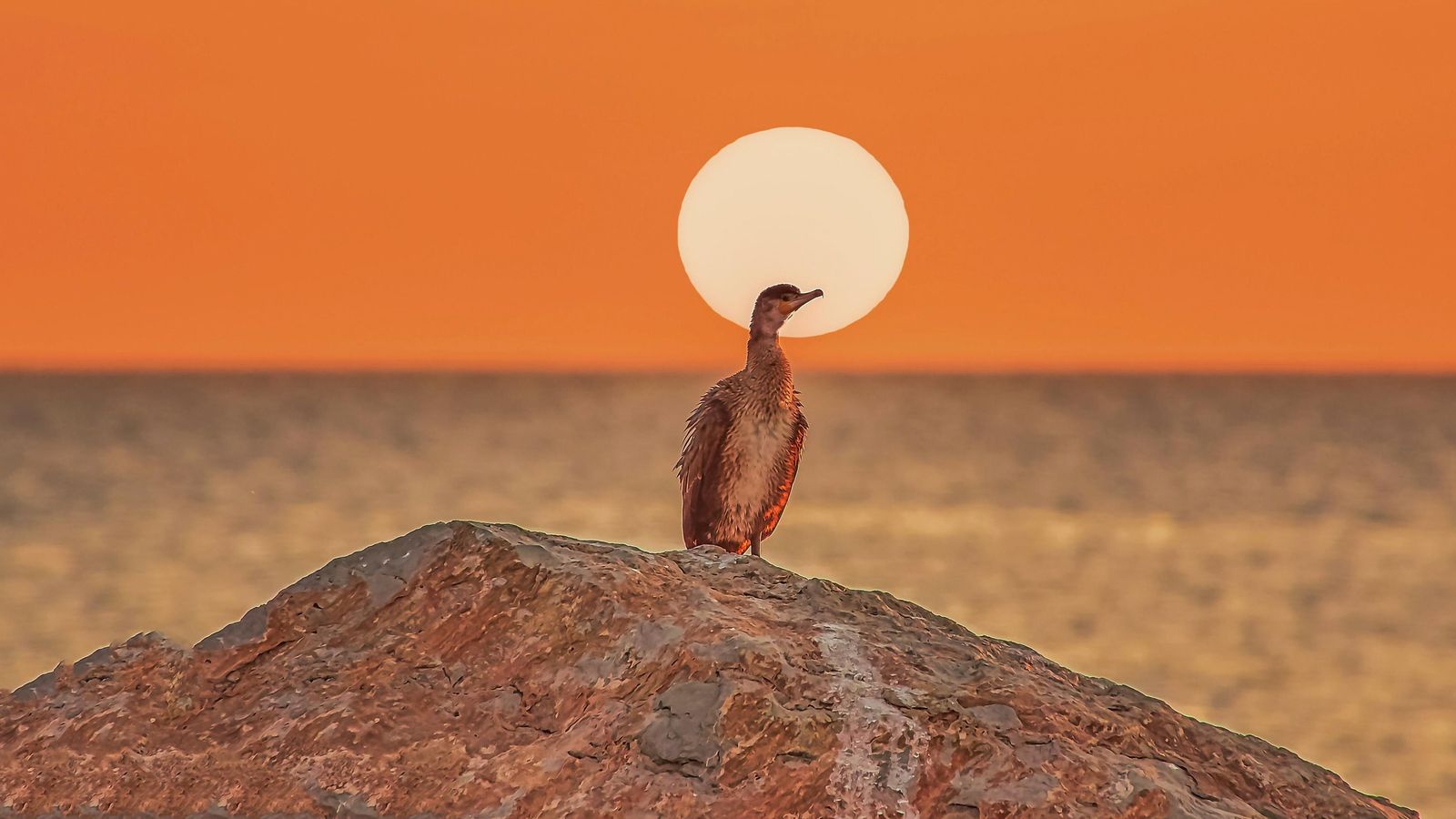 EL PUIG DE SANTA MARIA, L'HORTA NORD ALEJANDRO MUÑOZ GARCÍA