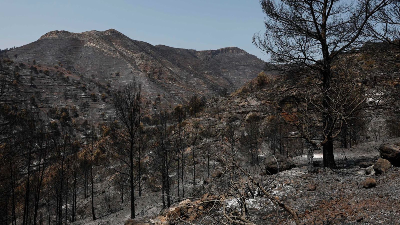 Devastació després de l'incendi