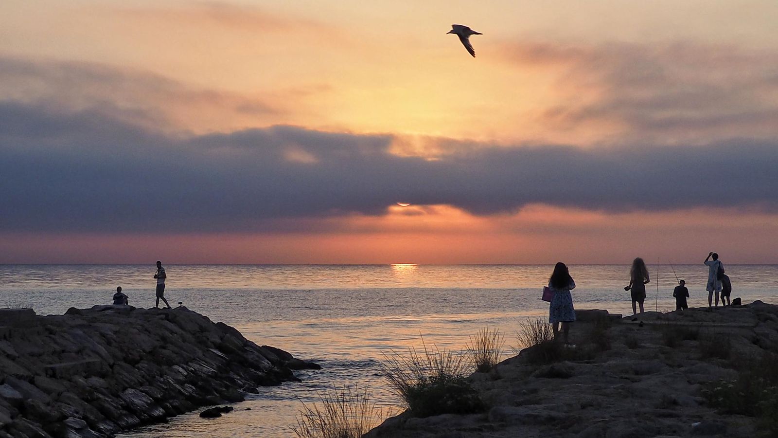 Tavernes de la Valldigna, la Safor