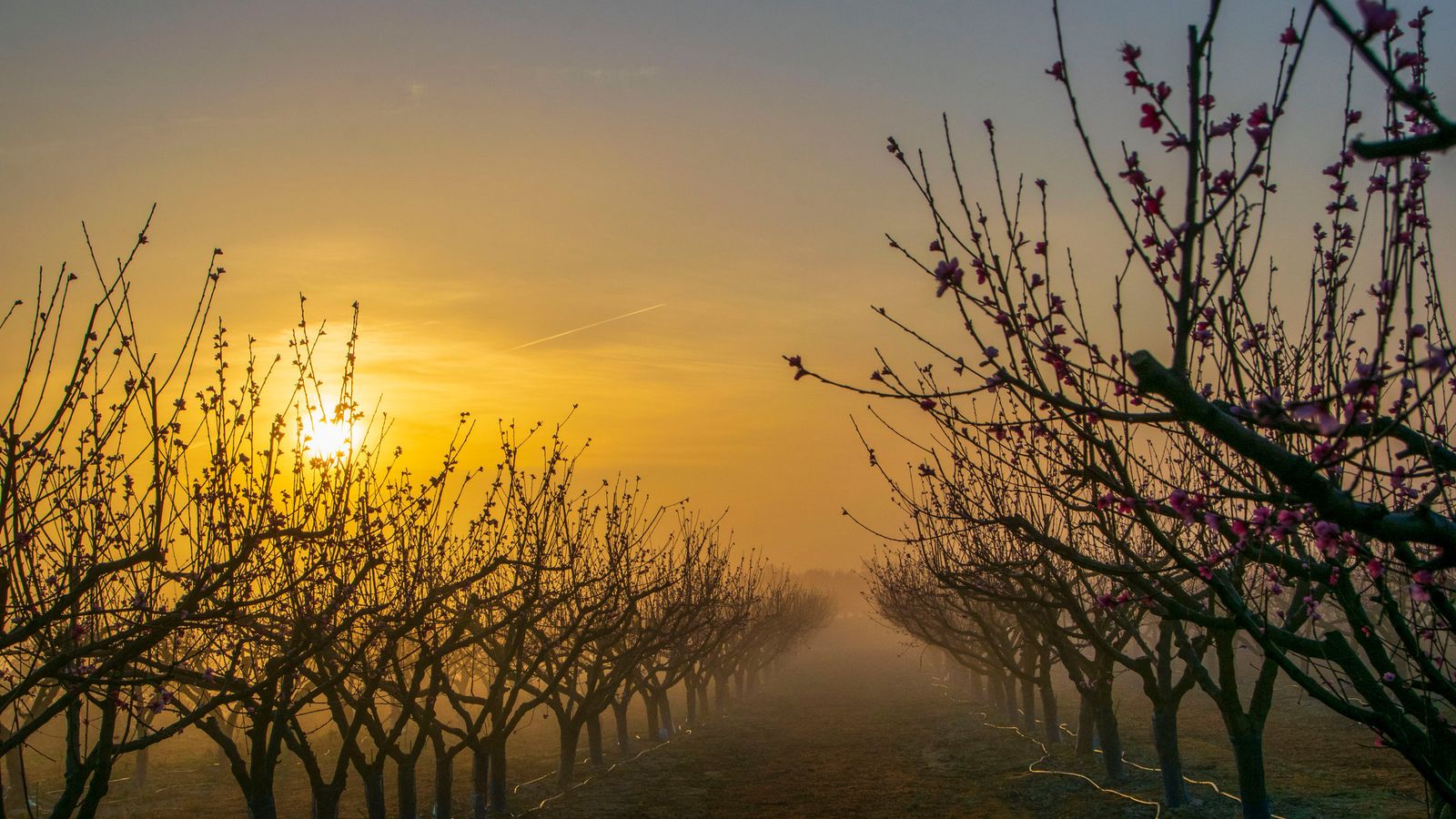 6. L'OLLERIA, LA VALL D'ALBAIDA,