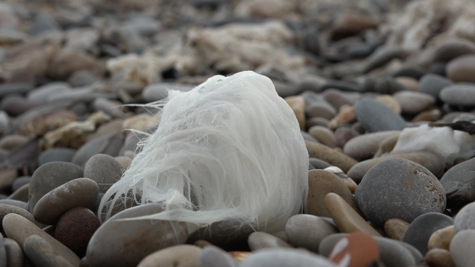 Tovalloleta de paper a la platja de Nules