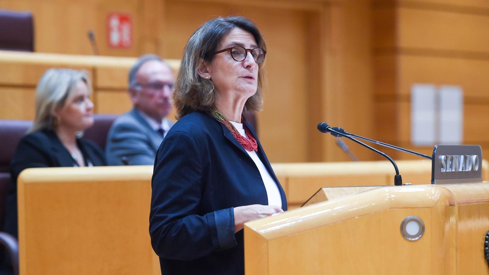 L'exministra per a la Transició Ecològica, Teresa Ribera, en la seua intervenció en el ple del Senat