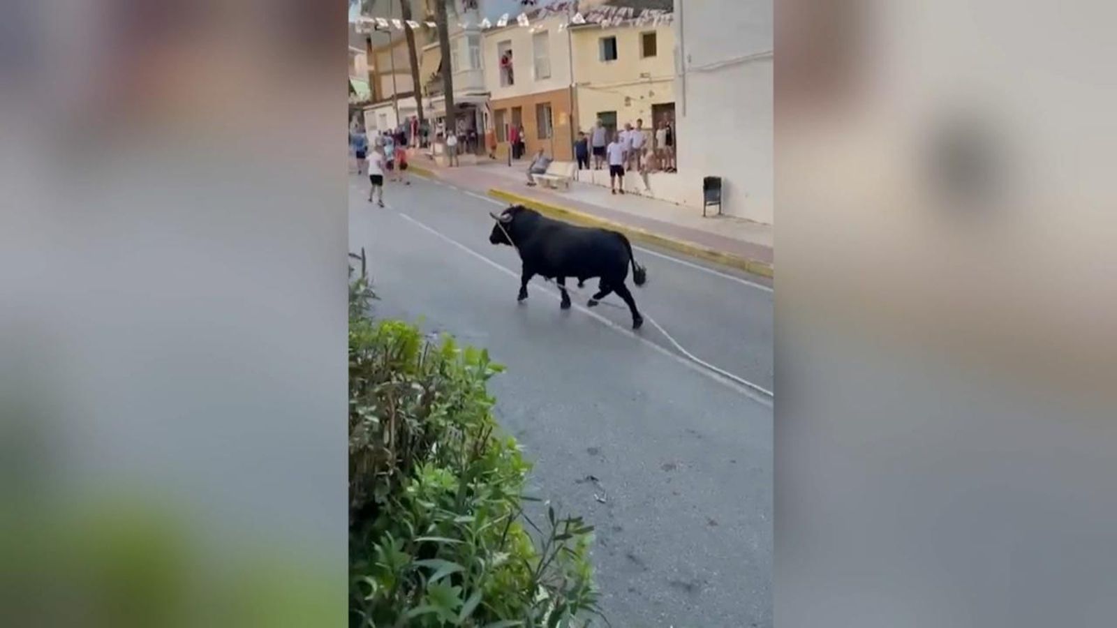 Sis persones han mort aquest estiu en els festejos dels bous al carrer a la Comunitat Valenciana