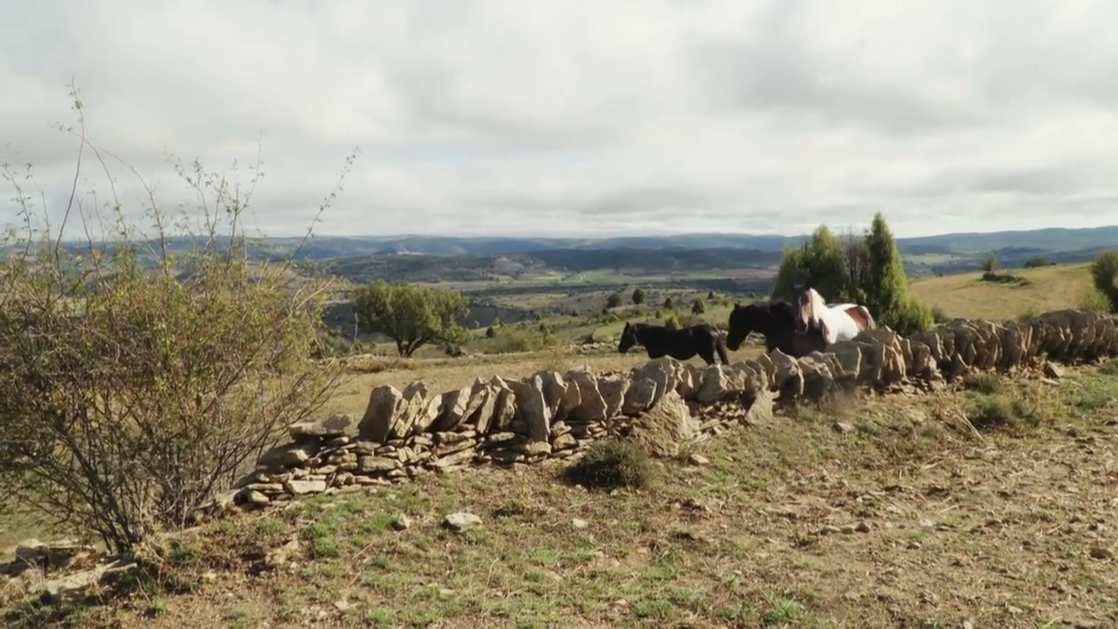 De mar i bancal | Adeu als paràsits