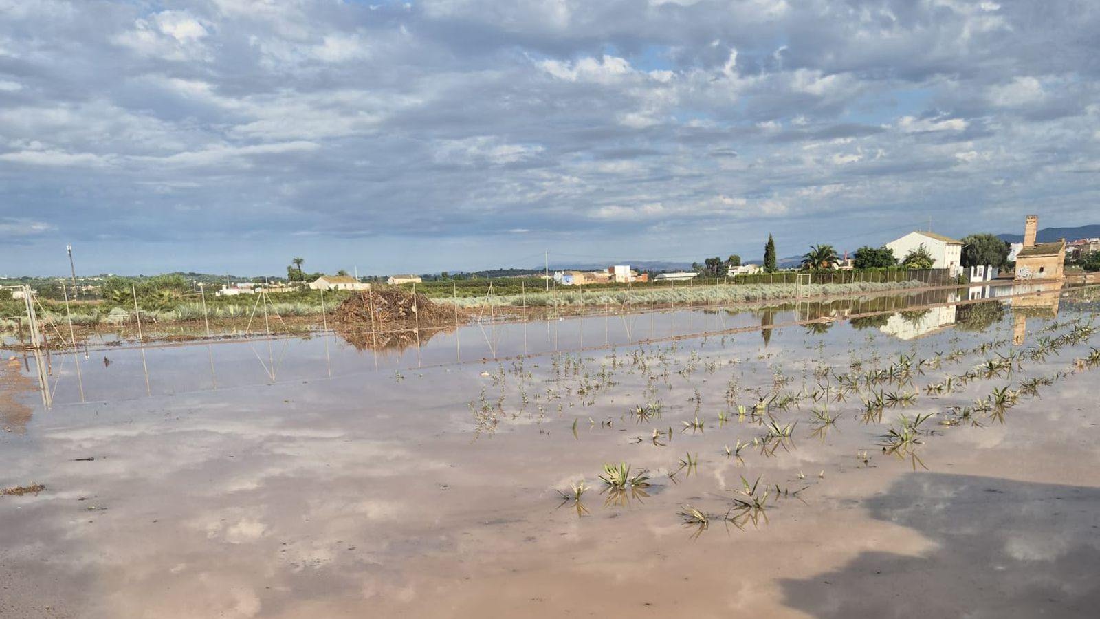 Un camp negat per les pluges