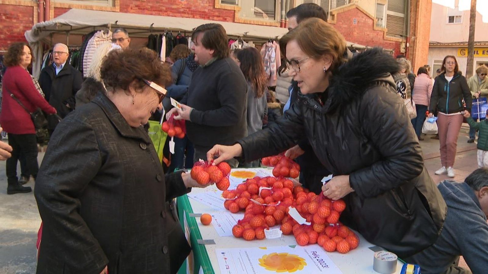 L'Ajuntament ha repartit clemenules per a consumir-les l'última nit de l'any a Borriana