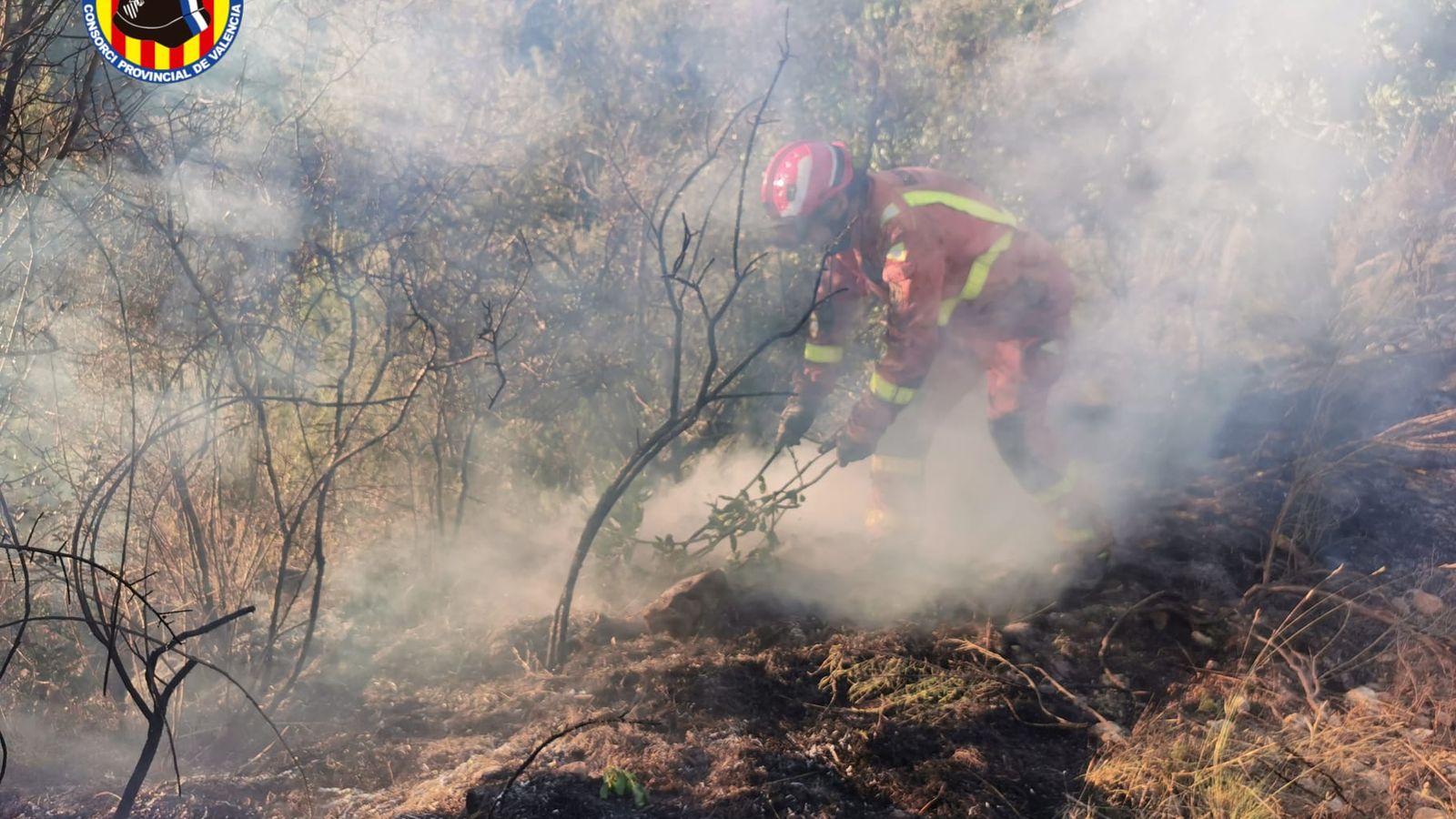 Imatges dels bombers actuant en les tasques d'extinció de l'incendi