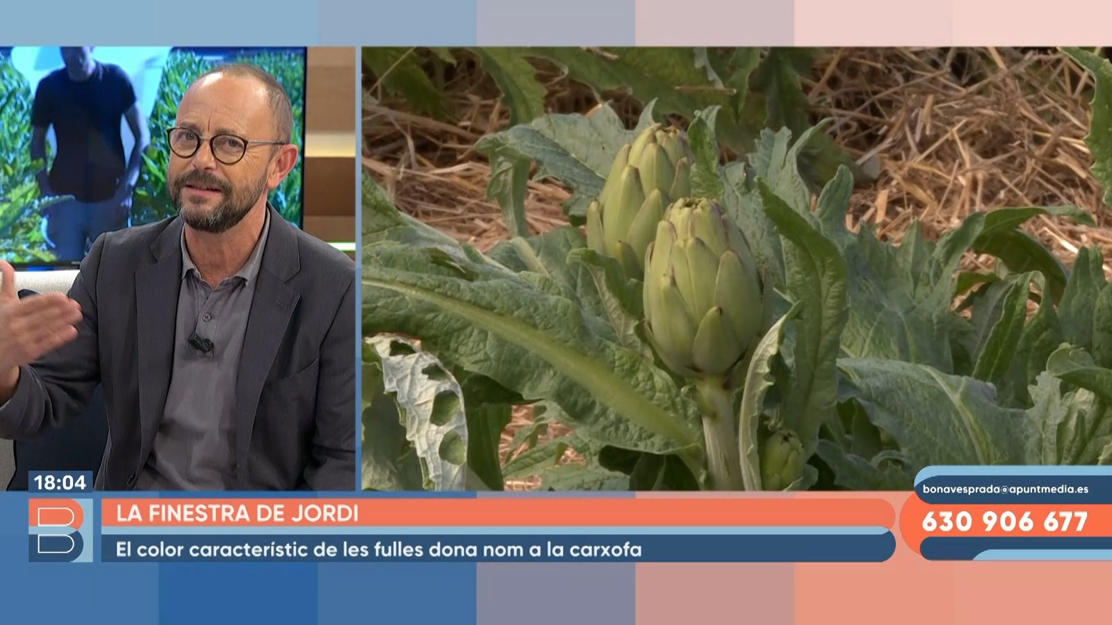 30.11.2022 | La carxofa, un producte de la nostra horta
