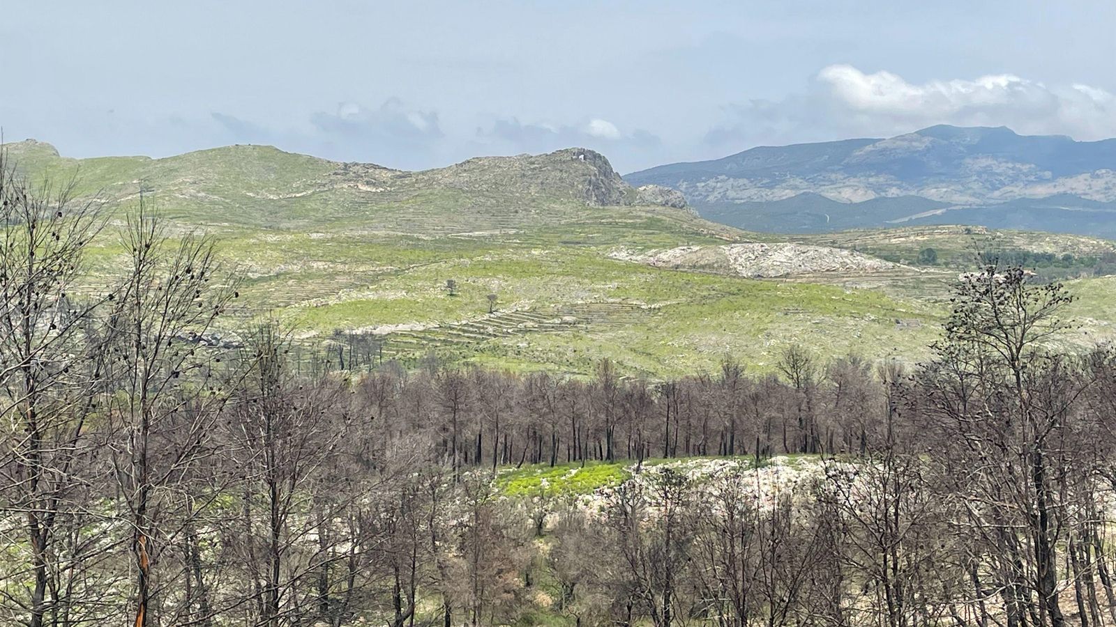 Incendi de Vall d'Ebo, un any després