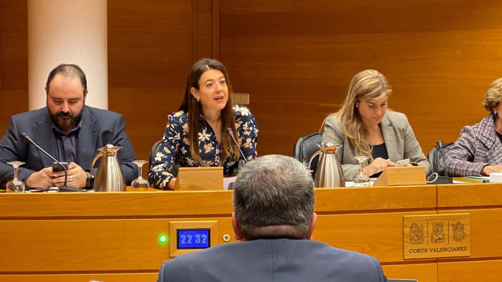 La consellera Carolina Pascual durant la compareixença