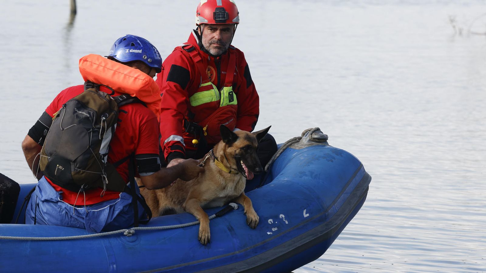 Continúan las labores de rastreo en La Albufera