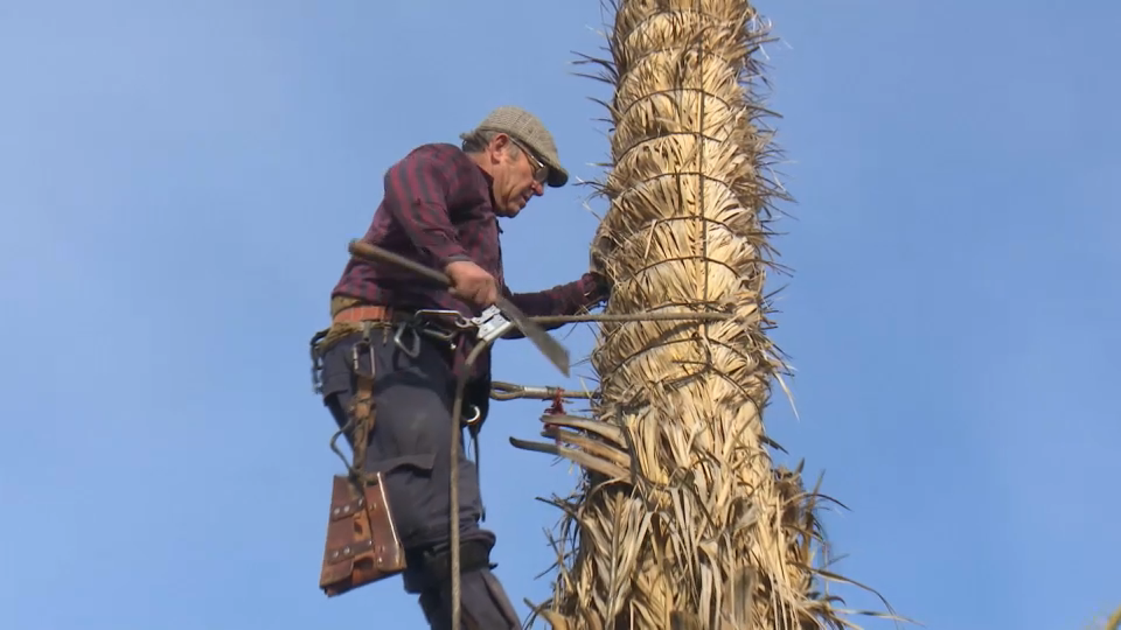 Diego, dels últims palmerers