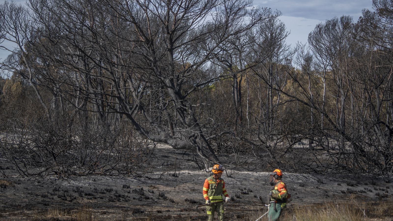 Una imatge d'un dels incendis provocats al Saler