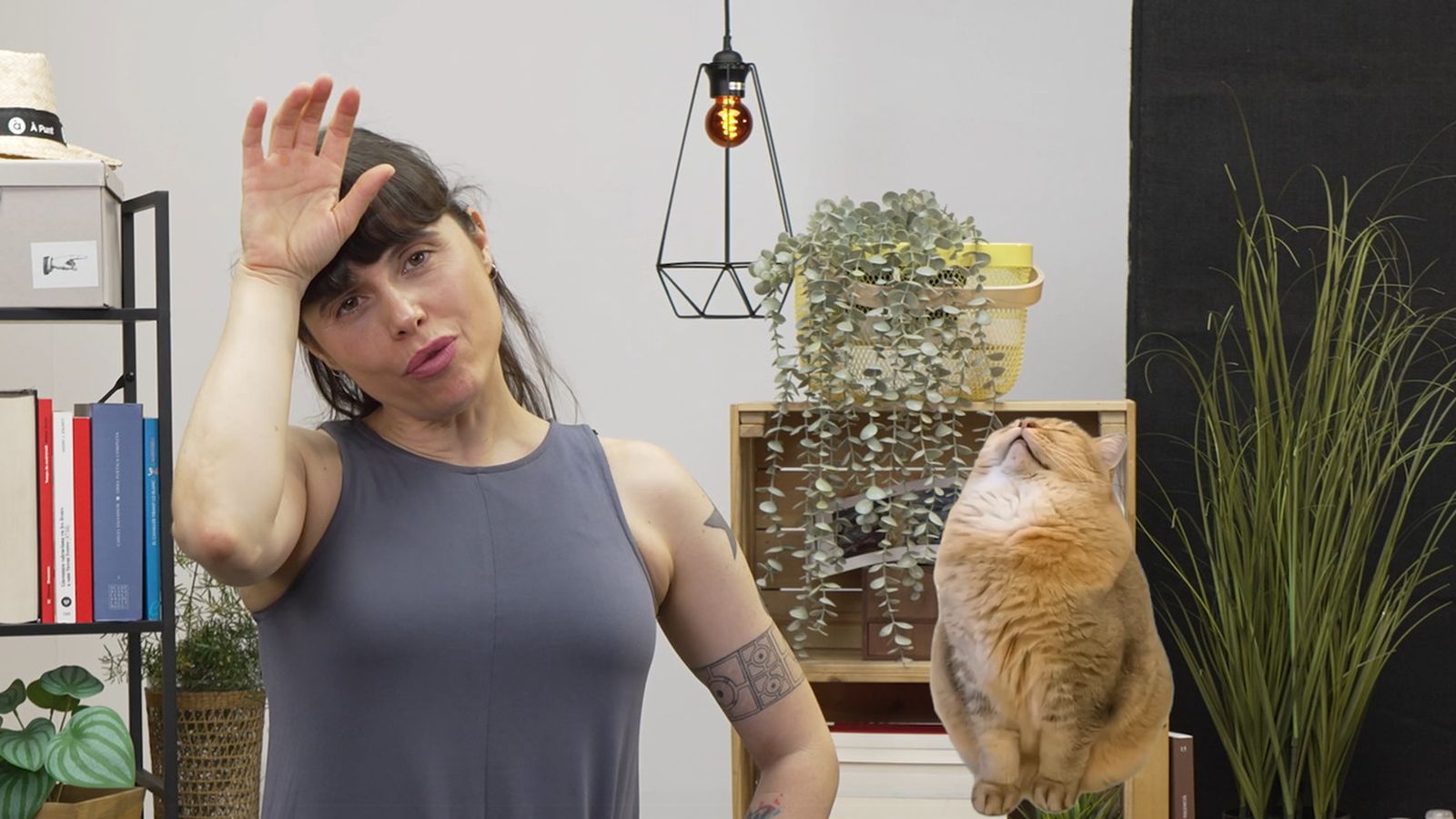 Ús i estalvi de la dièresi