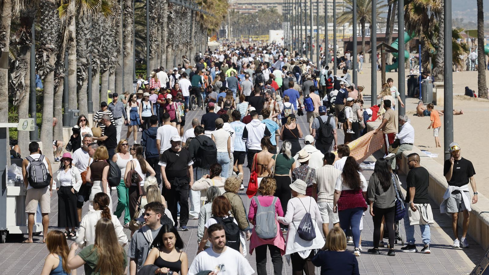 El passeig de la Malva-rosa, de gom a gom este dissabte