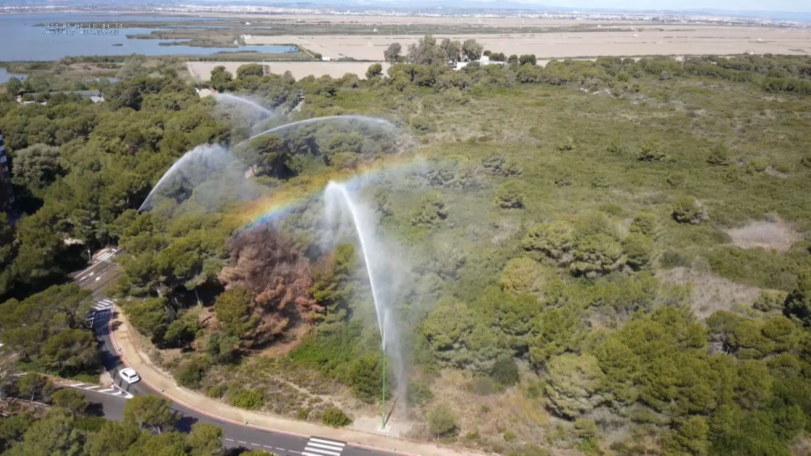 Canons d'aigua a la Devesa del Saler