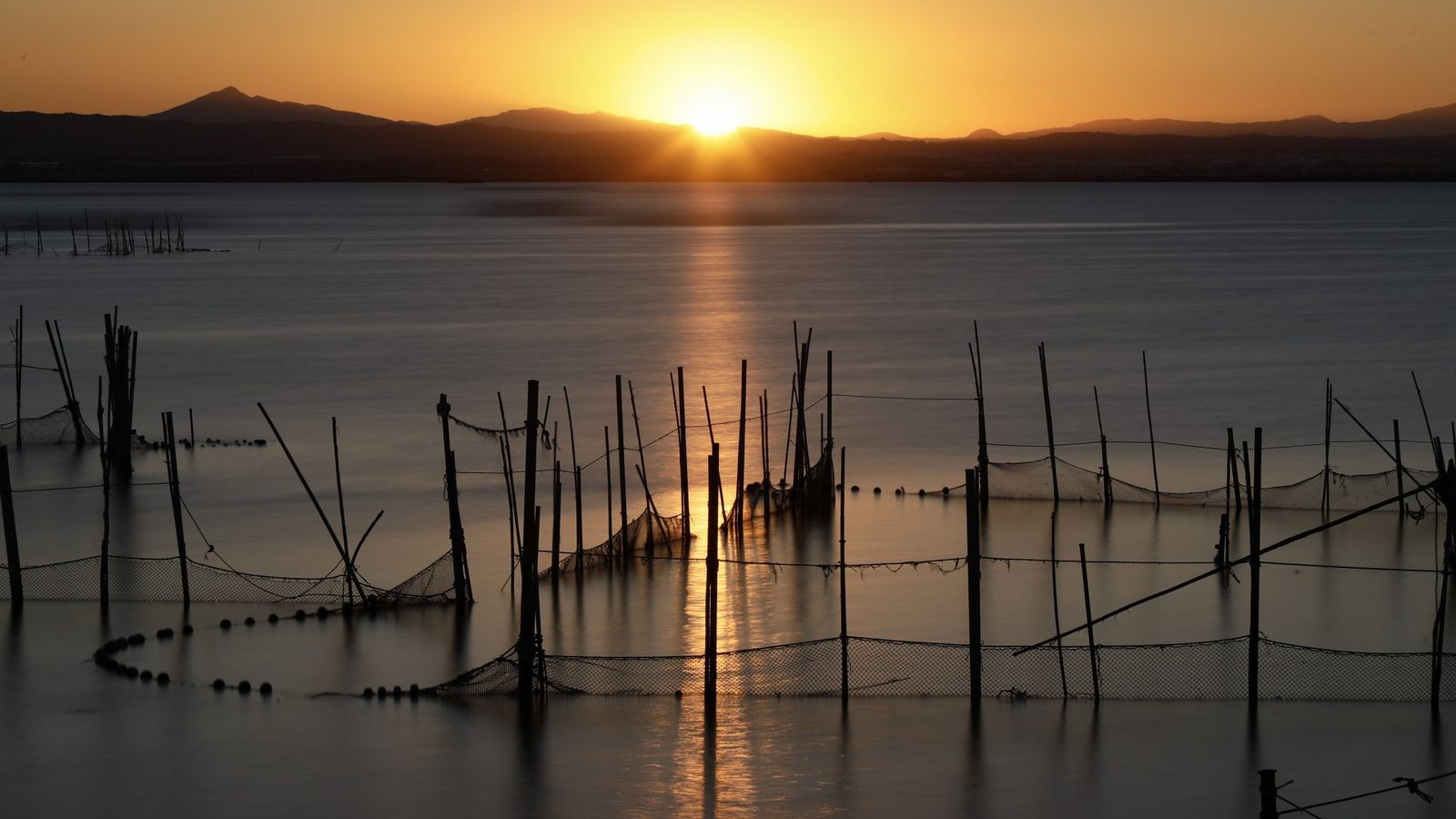 ALBUFERA DE VALÈNCIA, ÀNGEL ROS DIE.JPG