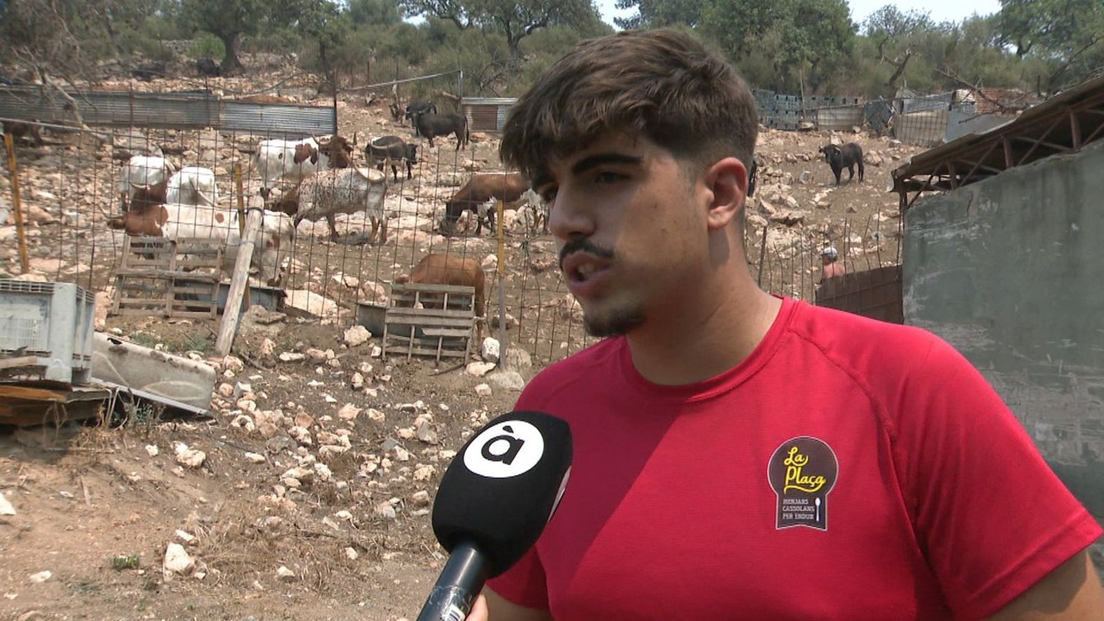 Camps i collites han quedat devastades mentre l'incendi continua