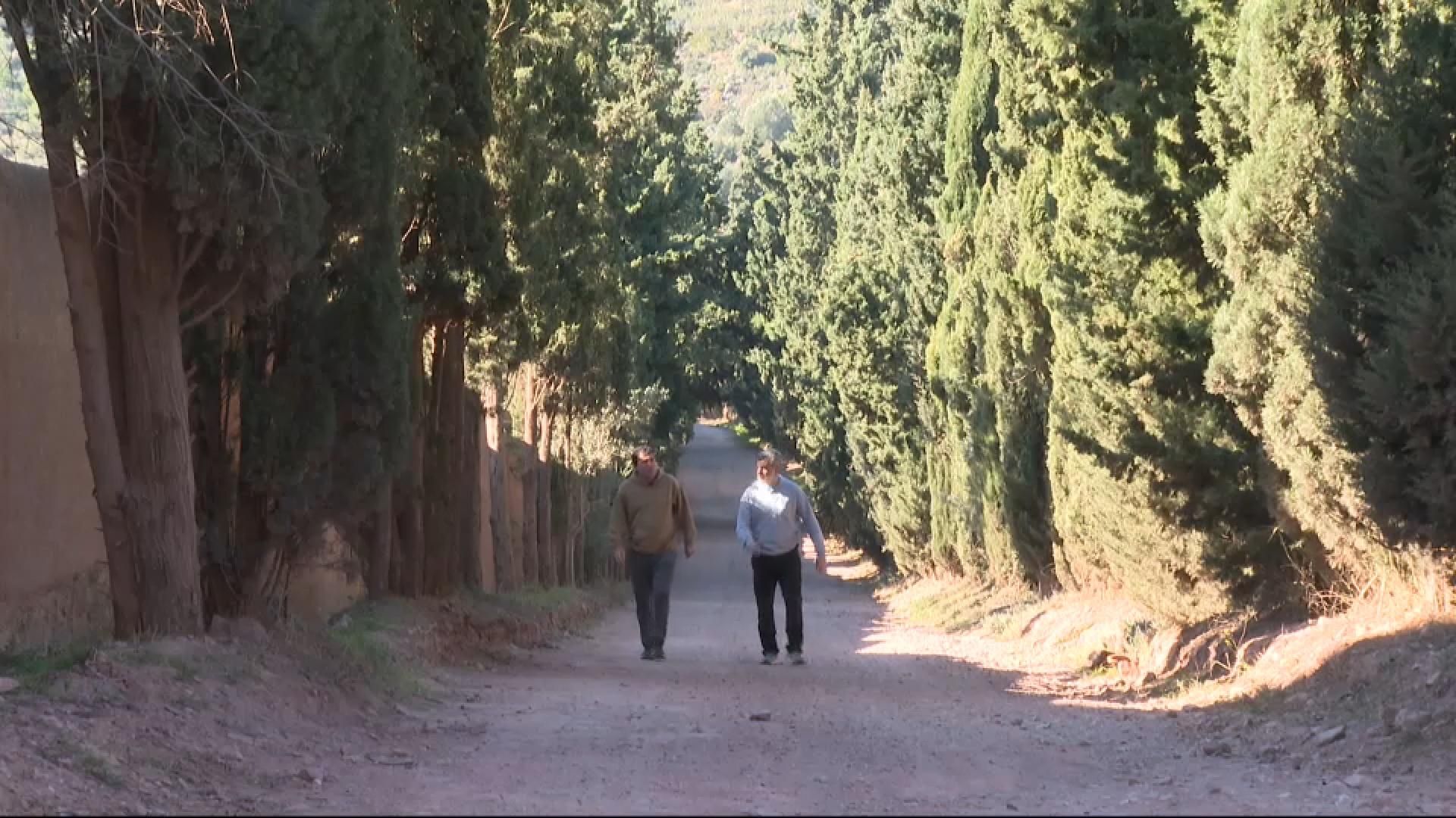 Parlem de la teràpia del bosc amb el psicòleg Nacho Coller