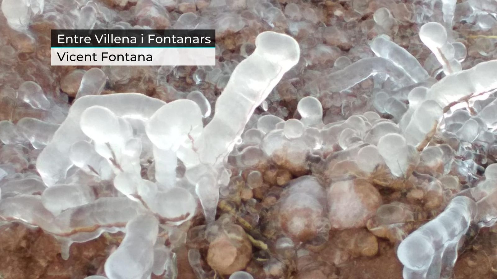 La matinada deixa mínimes de 13 °C negatius a poblacions com Bocairent