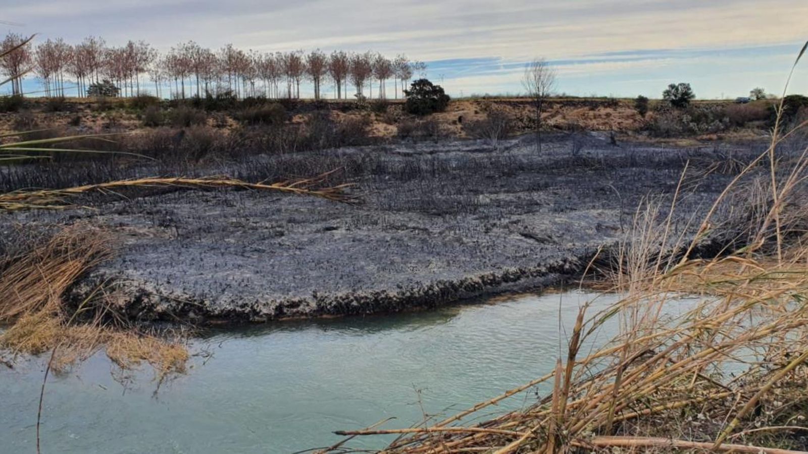Zona afectada per l'incendi