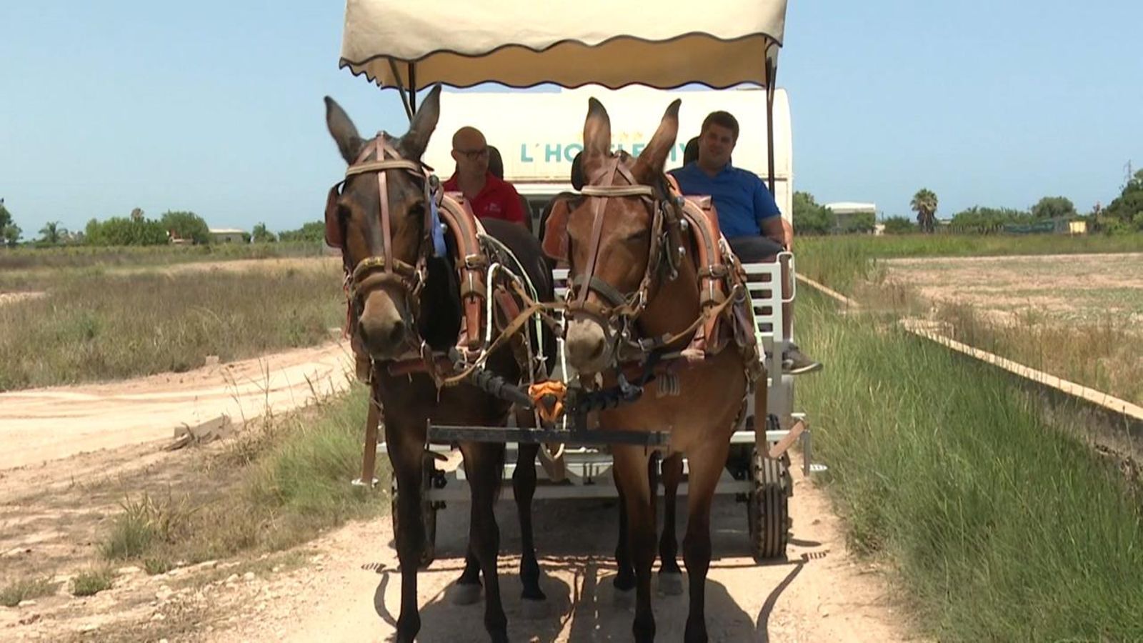 Viatjar per vacances amb tracció a quatre potes des de Sueca a Toixa