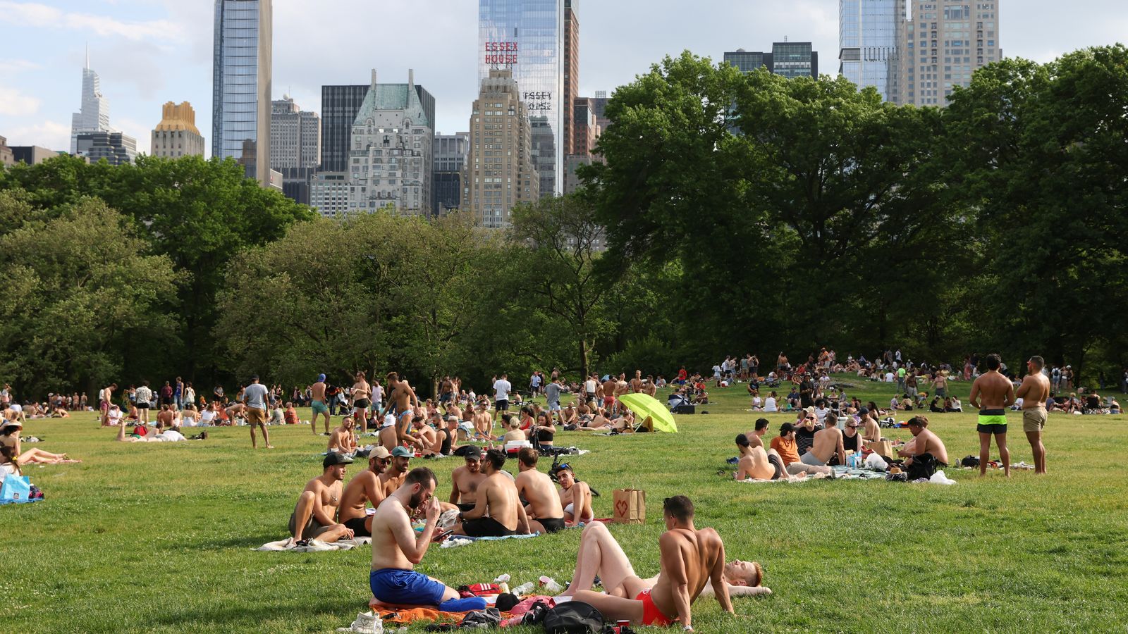 Grups de gent al Central Park de Nova York disfruten de l'aire lliure sense mascareta, donat que a aquest país ja no és obligatòria als espais oberts