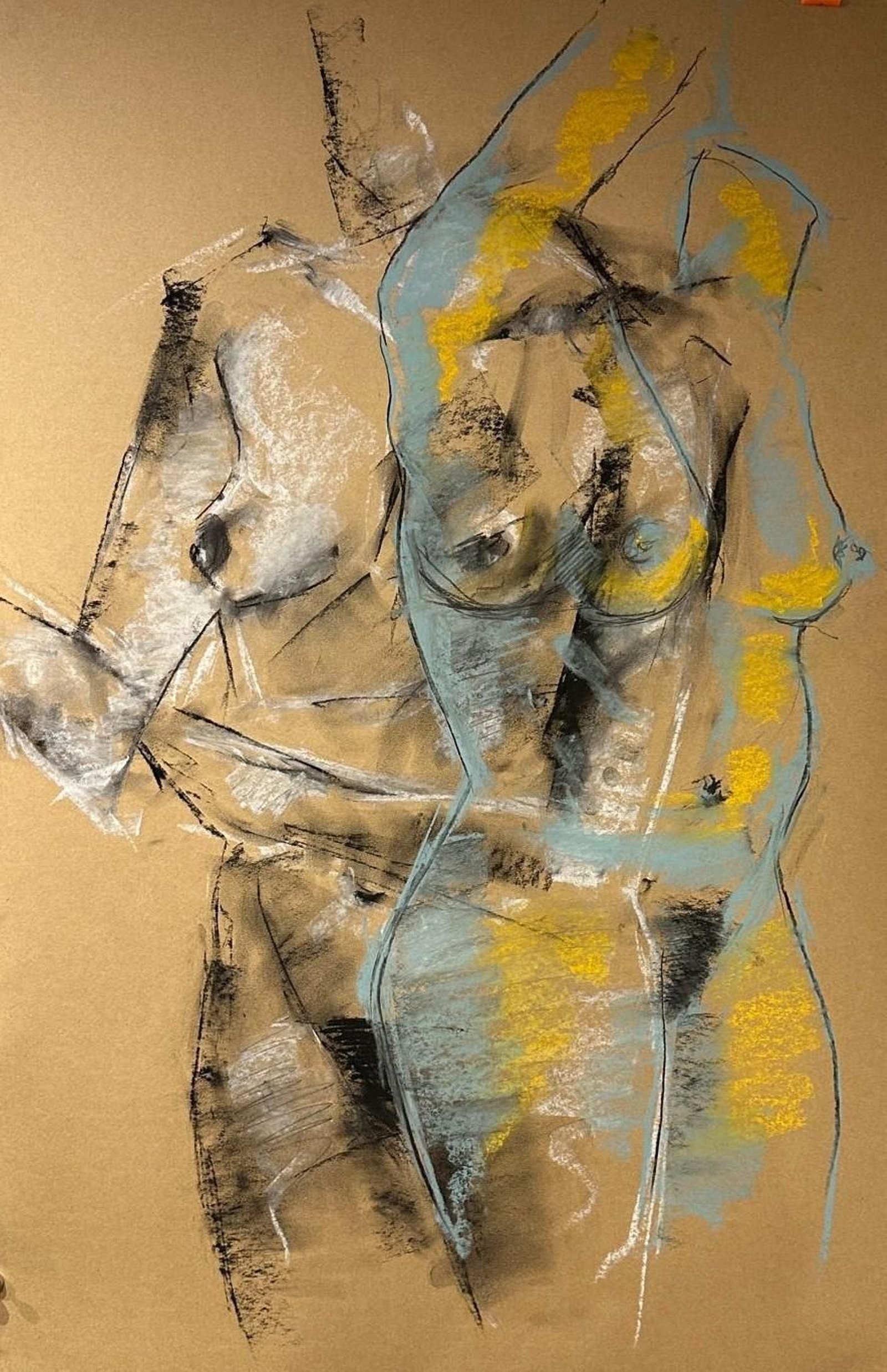 Un dels dibuixos més representatius de la sèrie Fusions