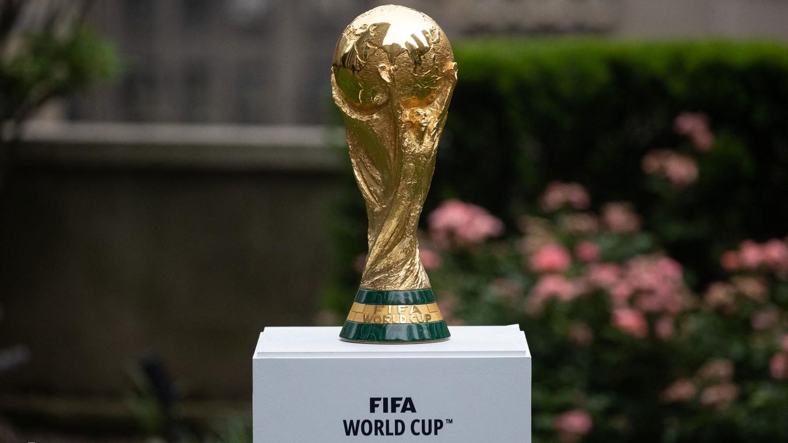 Trofeu de la Copa del Món