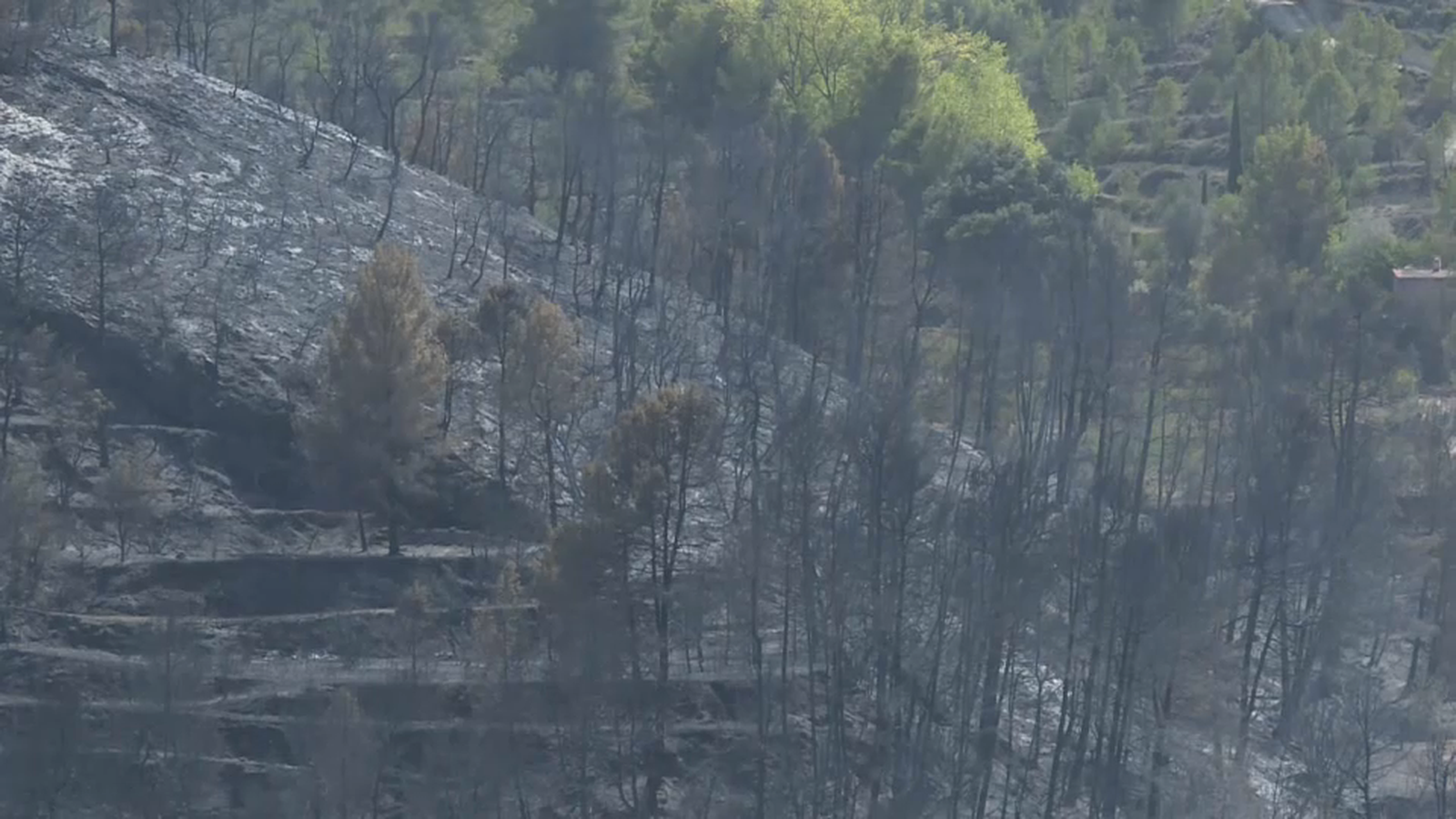 Incendi de Benasau