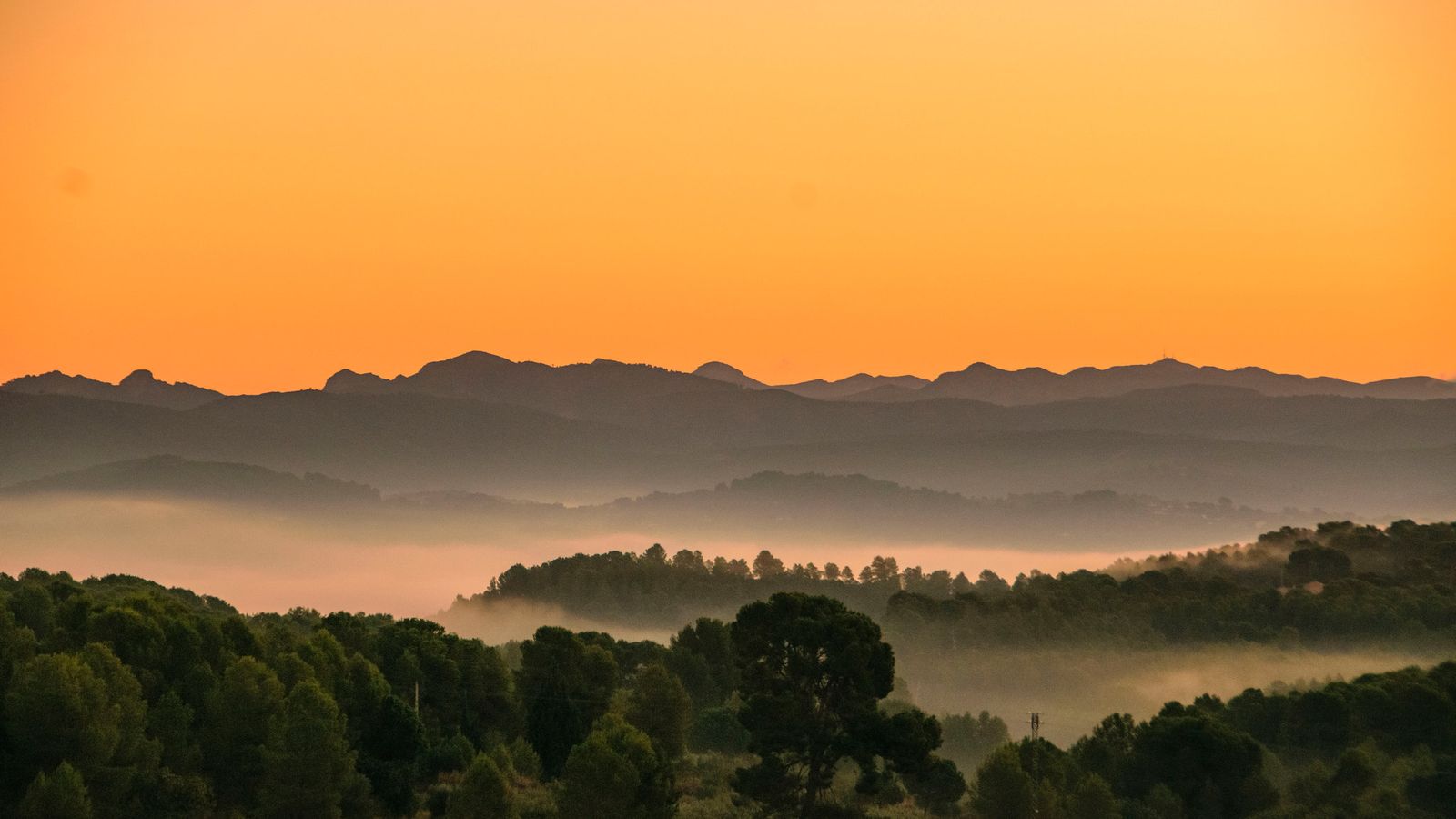 L'OLLERIA, LA VALL D'ALBAIDA