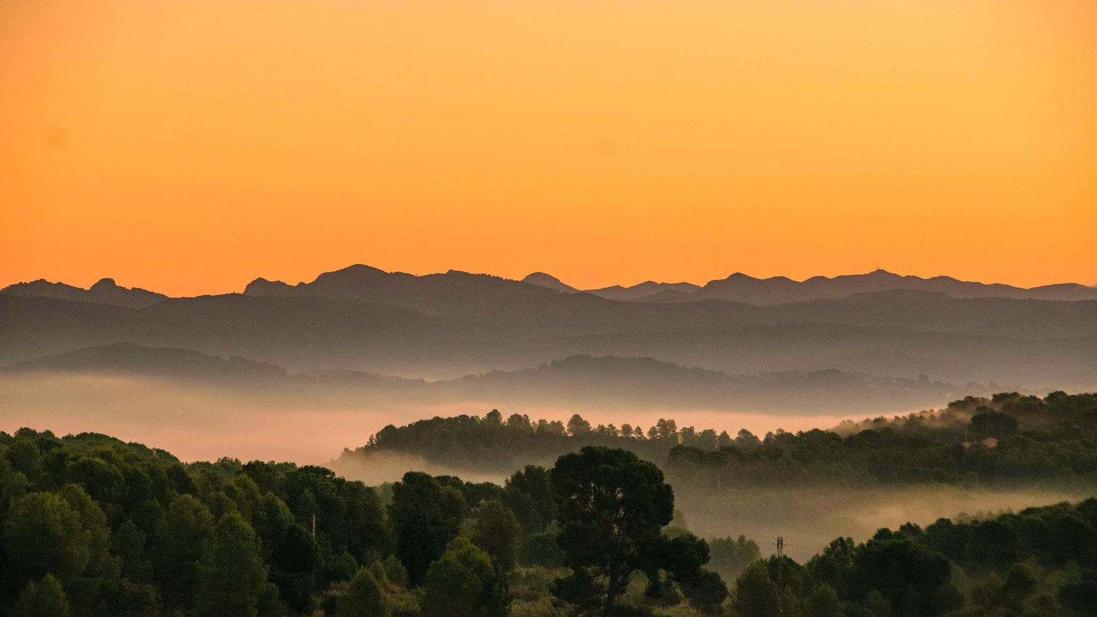 L'OLLERIA, LA VALL D'ALBAIDA