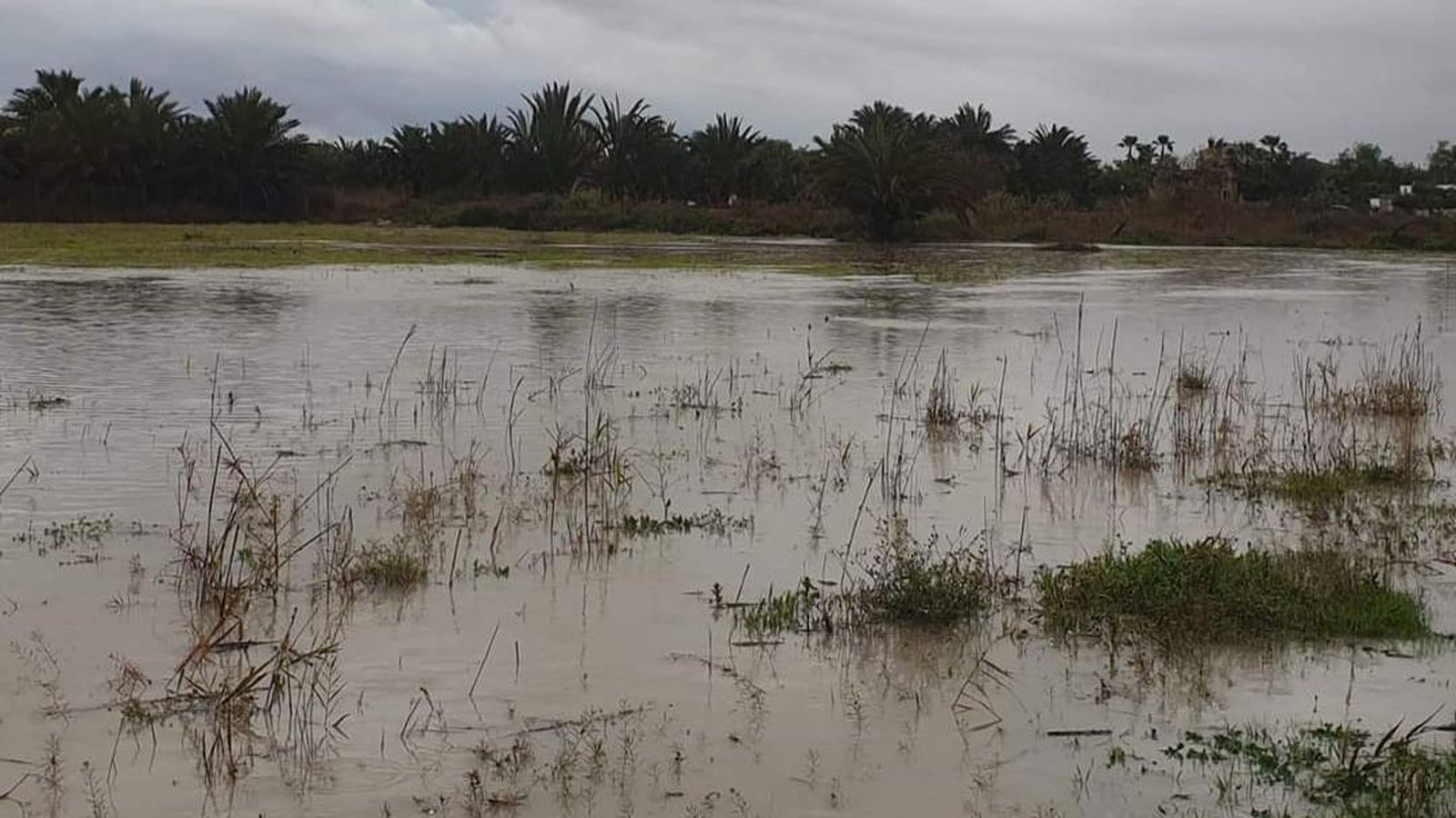 Riu Vinalopó al seu pas per Elx, una de les localitats que més quantitat de pluja ha registrat al seu terme aquest nit de dijous