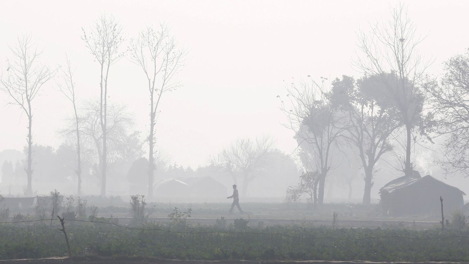 Un home camina  pels camps enmig de la boira contaminada de Nova Deli